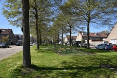 DSC_5815 (Aangepast).JPG